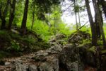 2014-07-05_Laengental-N-Hochweg (405). JPG
